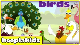 Preschool Activity | Learn About Birds | HooplaKidz