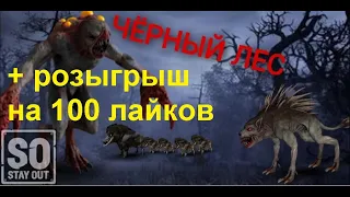 Черный Лес + розыгрыш на 100 лайков. Stay  out / stalker online / EU1