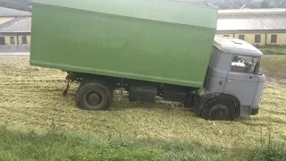 Silage 2019 ZD Zdíkov