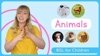 Sign Language for Children | Animals | BSL for Kids