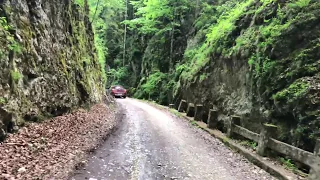 Paradis ascuns in muntii Piatra Craiului, Cheile Dambovicioarei 4k