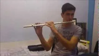 Yiruma   River Flows In You Flute Chuck Norris