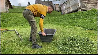 One day in the life of a young boy in the mountains with animals. Village