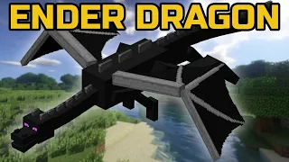 5 Curiosidades Sobre o Ender Dragon do Minecraft | #Shorts