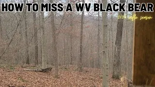 West Virginia black bear hunting. My first miss with a rifle.