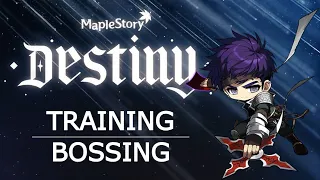 MapleStory: Night Lord Bossing & Training Guide