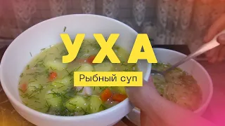 Уха суп  с овощами.Как сварить рыбу вкусно?UHA  fish soup with vegetables.Russian food