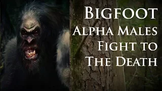 Bigfoot Alpha Males - A Fight to the Death