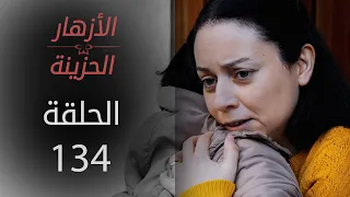 مسلسل الأزهار الحزينة | الحلقة 134 | الموسم الأول