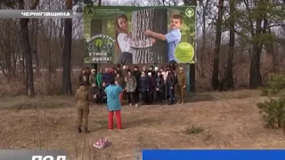 28 03 19 Прилуцький лісгосп почав садити ліс