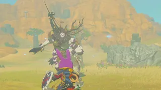 Lore Accurate Link vs Silver Lynel #totk