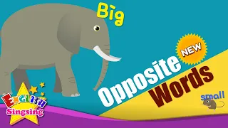 Kids vocabulary - [NEW] Opposite Words - Learning about Opposites - English for kids