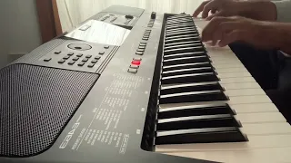 Y zan. Yamaha psr e463