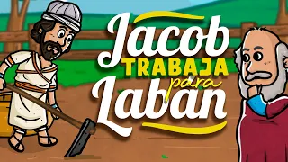 Jacob trabaja para Labán ⛏️🕗 | Historia de la Biblia | Mi Primera Biblia | 13