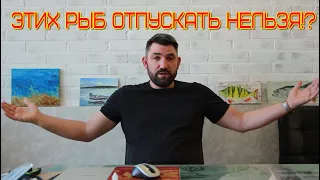 отпускать рыбу или нет?