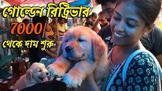 Recent Dog Puppy Price Update | Gallif Street Pet Market Kolkata | Dog Price | Galiff street kolkata