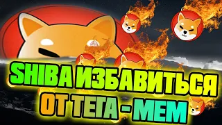 Разработчик Shiba Inu ОТКАЖЕТСЯ ОТ ТЕГА МЕМ | Сжигание Сиба Ину