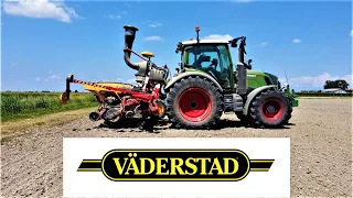 🌾 Sow SOY 🌾 | Väderstad Tempo V8 Fendt 312