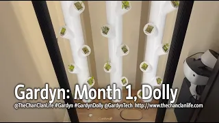 TechTalk: Gardyn 02: Month 1, Trimming Sprouts, Garden Dolly Demonstration & Review