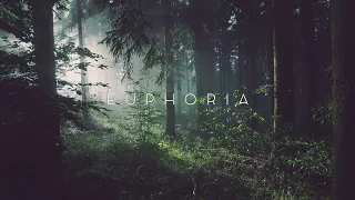 EUPHORIA: Relaxing Ambient Music | Calm Forest Ambience for Relaxation