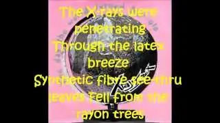 X-ray Spex - The Day the World turned Day-Glo (lyrics)