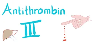 Antithrombin III | How Heparin Works!