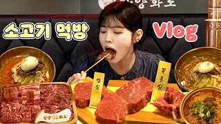 SUB)Korean BBQ Outdoor Mukbang Vlog! With Ramyun and Cold Noodles!