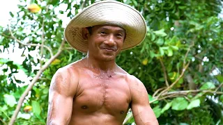 Vua Khỉ Cưa Cây Me Có Tàn Siêu Khủng Sát Mái Nhà. Sawing a giant Tamarind tree