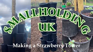 Making a Strawberry Tower | gardening UK - self-sufficiency