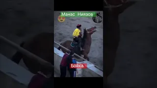 Манас Ниязов & Бойка