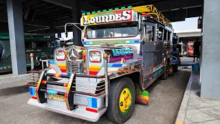 The History of Jeepneys in the Philippines: American Military Surplus to Iconic Public Transport