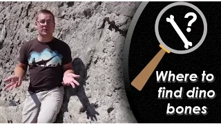 How to Find Dinosaurs at The Real Jurassic Park (Dinosaur National Monument)