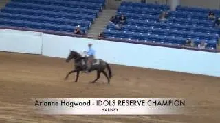 2012 Supreme Extreme Mustang Makeover Idols Freestyle Finals