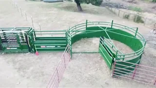 Working cows alone with Arrowquip Squeeze chute and Bud flow tub