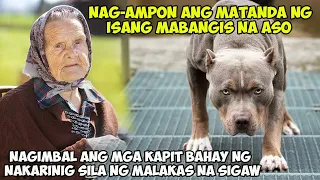 NAG-ALAGA  ANG MATANDA NG ISANG MABANGIS NA ASO LUMIPAS ANG ILANG BUWAN ISANG SIGAW ANG NARINIG NILA