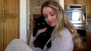 Cat loves being kissed