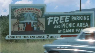 1957 ~ A Sunny Day at the Catskill Game Farm