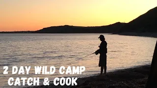 2 DAY WILD COASTAL CAMPING - Delicious Free Food - Lobsters - Prawns - Crabs - CATCH & COOK