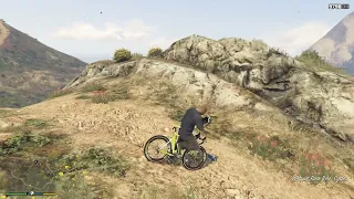 Whippet Race Bike - GTA 5