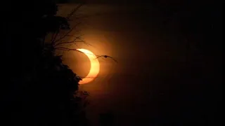 Solar Eclipse from Port Credit in Mississauga