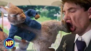 You're Not My Father! (Wedding Scene) | Peter Rabbit 2: The Runaway