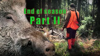 End of hunting season EPISODE 2 / Wild boar hunting 2023-24