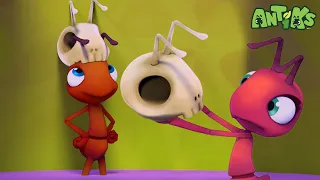 The Big Pitcher | 🐛 Antiks 🐜 | Funny Cartoons for Kids | Moonbug