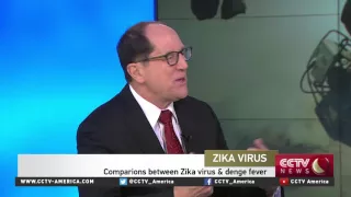 Dr. Daniel Lucey on the rapid spread of the Zika virus