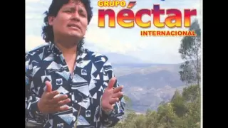 Grupo néctar - Internacional - El Arbolito