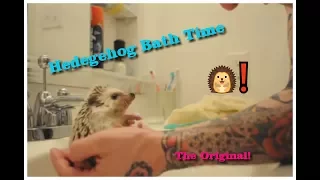 Hedgehog Bath Time - THE Original