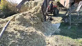 Silage in bags 2 - NS 640 + ZP 560