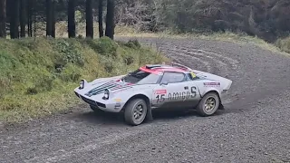 Best of LANCIA STRATOS pure sound / Roger Albert Clark rally 2023