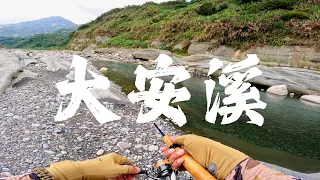 溯溪釣魚賞風景 #何氏棘魞 #捲仔 #大安溪 #原木流前槳拖拉機