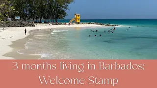 Reflections on 3 months after moving to Barbados | Island Living - Digital Nomad Welcome Stamp